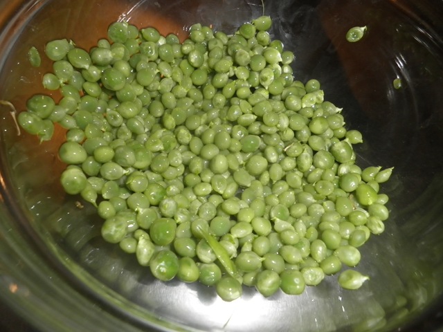 [20120227_131%255B4%255D.jpg]