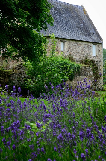 [chateau%252066%255B8%255D.jpg]