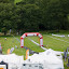 IMG_0305 IMG_0305