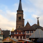 DSC08183.JPG