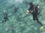 Montacto: divers on their safety stop