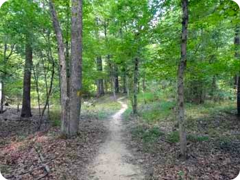 15-river-walk 15-river-walk