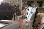 The lens in now pointing in our direction.  Franny, that's George Kamper, a rather famous photographer and EQ Photography Director.