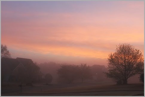 IMG_0090 IMG_0090