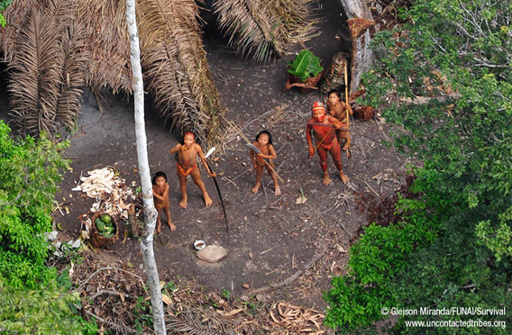 Detail of uncontacted native family from flyover, January 2011. The photo reveals a thriving, healthy community with baskets full of manioc and papaya fresh from their gardens. Peruvian drug traffickers have attacked this tribe. © Gleison Miranda / FUNAI / Survival