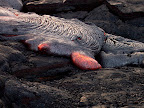 Lava flow, East Rift Zone 2