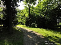 Cmentarz przy ul. Samotnej w Poznaniu