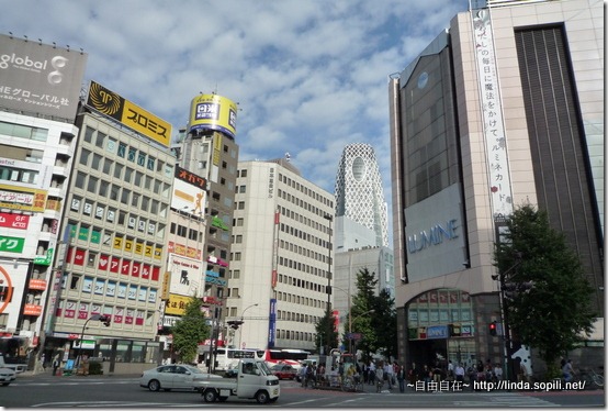 新宿 新宿