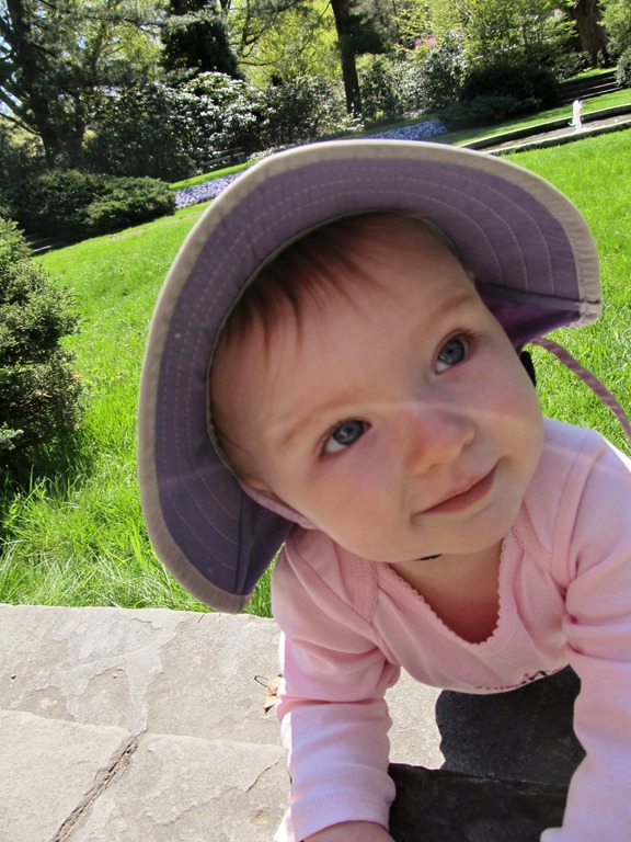 [IMG_2847%255B4%255D.jpg]