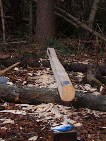Trees from the property were hewn into new rafters.  All of the new timbers for this project were milled or hewn from the property.