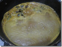IMG_4069 IMG_4069