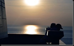 DSC_0718 DSC_0718