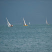 Cully-15.jpg