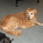 DSCN3569.jpg