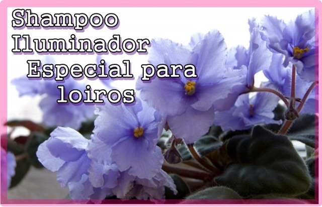 Loiro Iluminado Le Clique Loiro Iluminado Le Cliqué
