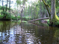 DSC00515.JPG Photo