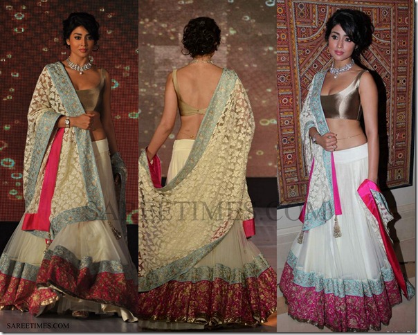 Shriya_Manish_Malhotra_Saree