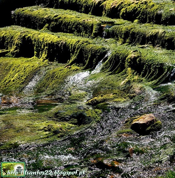 Rio Ota - Olhos d'Água -14.05.14 (2)