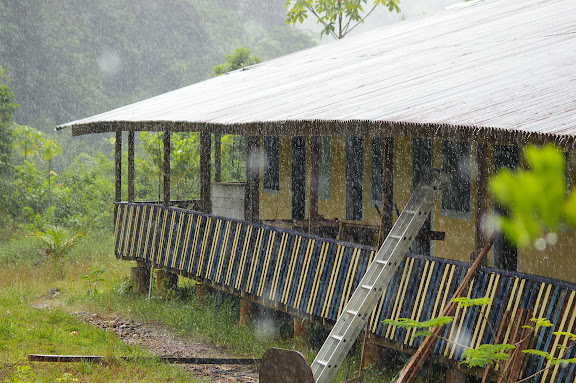 Les Carbets de Coralie, sur l'ancien site d'orpaillage, sous la pluie de l'après-midi. 26 novembre 2011. Photo : J.-M. Gayman
