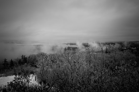 _MG_5280.jpg