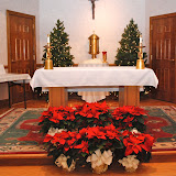 STJULIASXMASPICTURES2011
