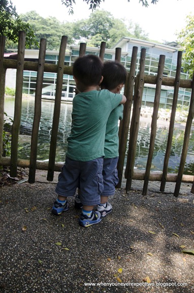 20110603_Jurong Bird park (27 of 53)