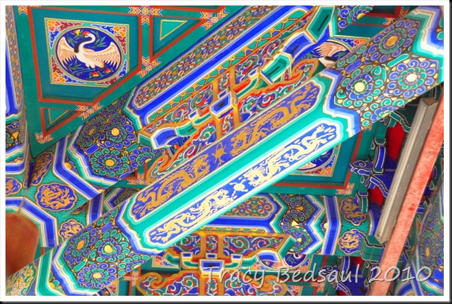 DSC_6344 DSC_6344