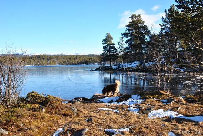 bruksdag 036