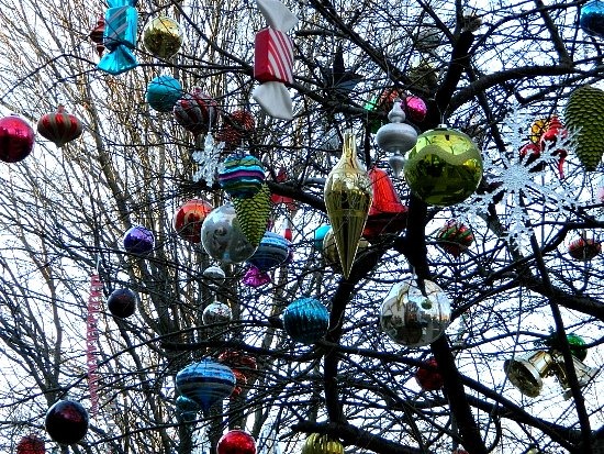 [2011%2520holiday%2520hood%2520kristins%25202%2520%2528550x413%2529%2520%25282%2529%255B5%255D.jpg]