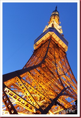 IMG_2412 IMG_2412