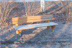 A bench in winter park