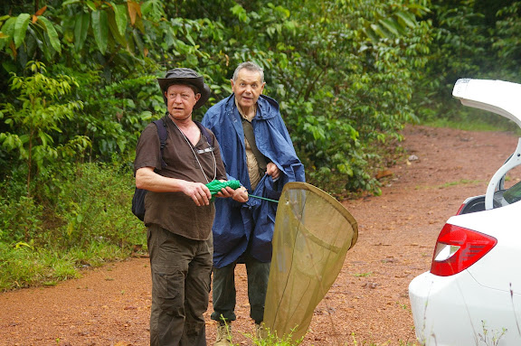 Camp Patawa (après la pluie), Montagne de Kaw (Guyane), 14 novembre 2011. Photo : J.-M. Gayman