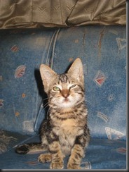 IMG_1677 IMG_1677