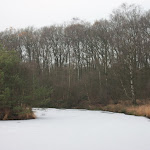 IMG_4967.JPG