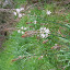 DSCN5689.JPG