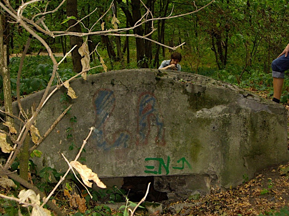 IMGP9288.JPG