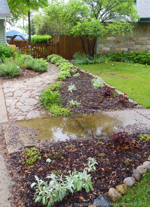 [Rose%2520Garden%2520Planted%255B8%255D.jpg]