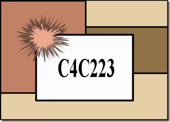 C4C223