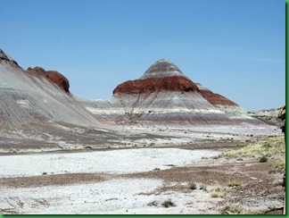 Painted Desert & Petrified Forest 081