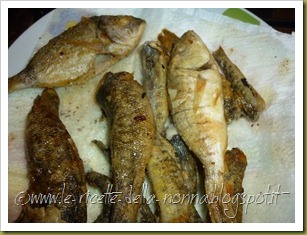 Pesce fritto e patate (7)
