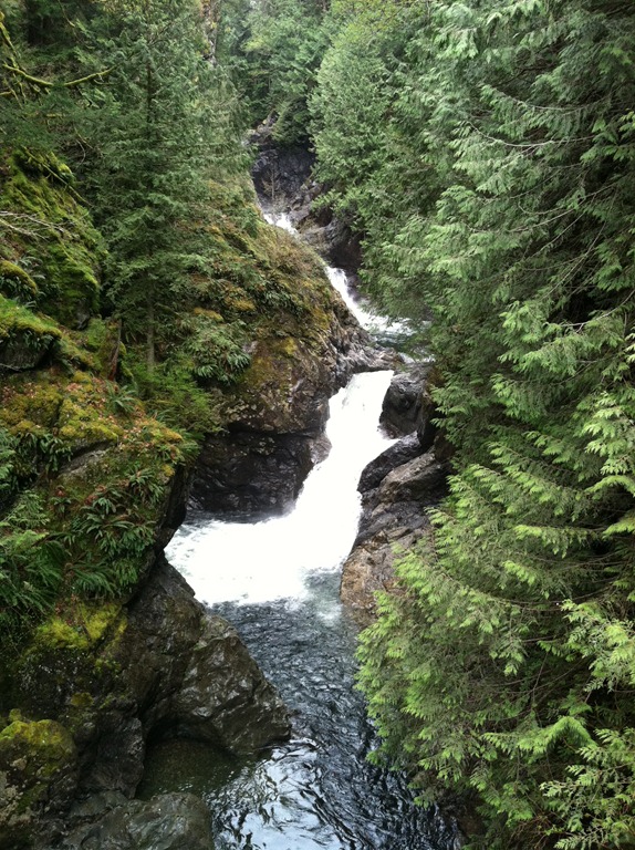 [IMG_2933%255B4%255D.jpg]