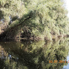 DSCN4524.JPG
