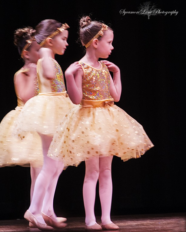 [ballet-2013-3-SycamoreLane%2520Photography%255B5%255D.jpg]