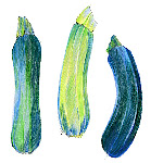 picasacourgette2.jpg