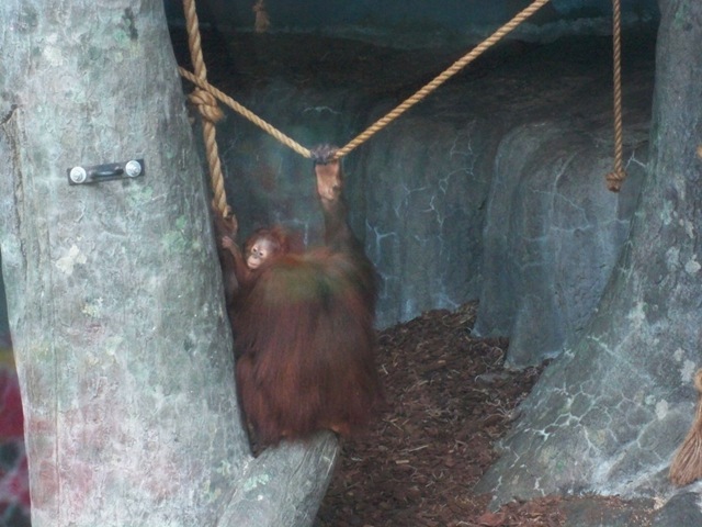 [baby02%255B2%255D.jpg]