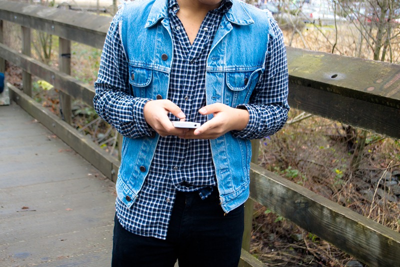 gingham-1 gingham-1