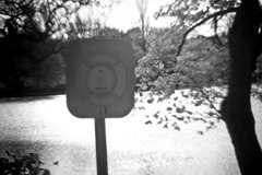 Infrared-Holga-3