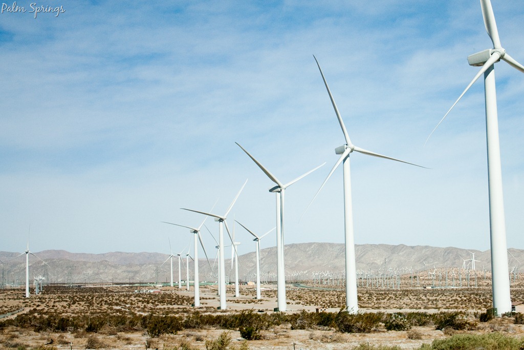 [20111229-IMG_9934%255B9%255D.jpg]