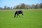 Early arrivals out for a pick of grass.