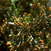 DSC_5684.jpg